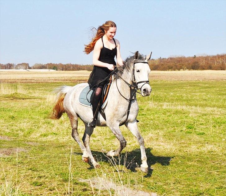 Anden særlig race Frida - Juhuuu, endnu mere fart! :D billede 6