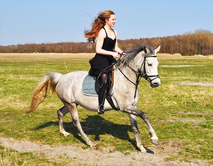 Anden særlig race Frida - Så er Frøken Frida, glad :D billede 7