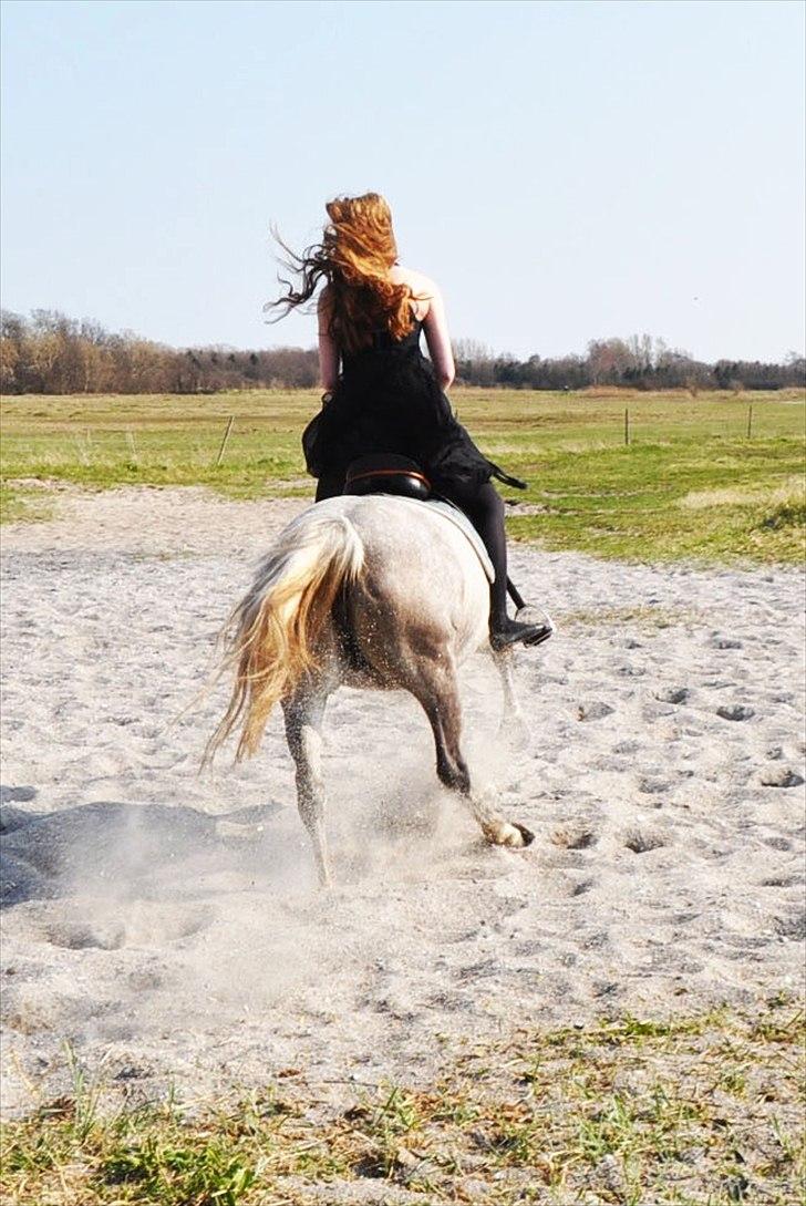 Anden særlig race Frida - Woah Frida ;) billede 8