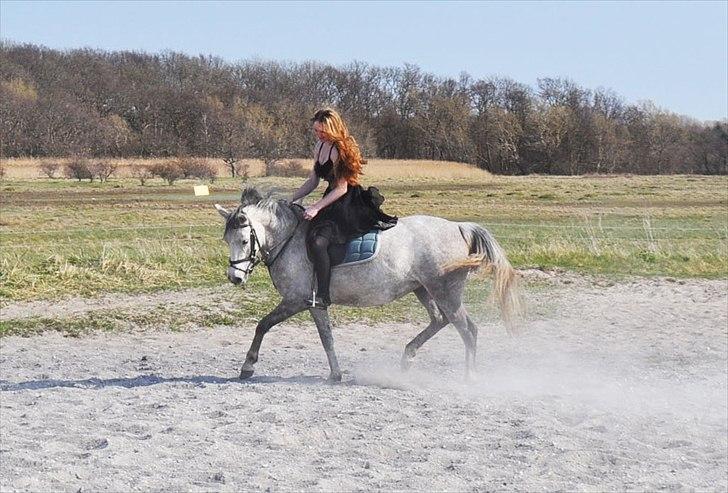 Anden særlig race Frida - Jaja, vi kan godt :D billede 9