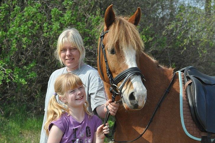 New Forest EgHolms Malou <3<3 - V E L K O M M E N Til Malou´s profil - Læg gerne en Kommetar&& en Bedømmelse :) billede 1