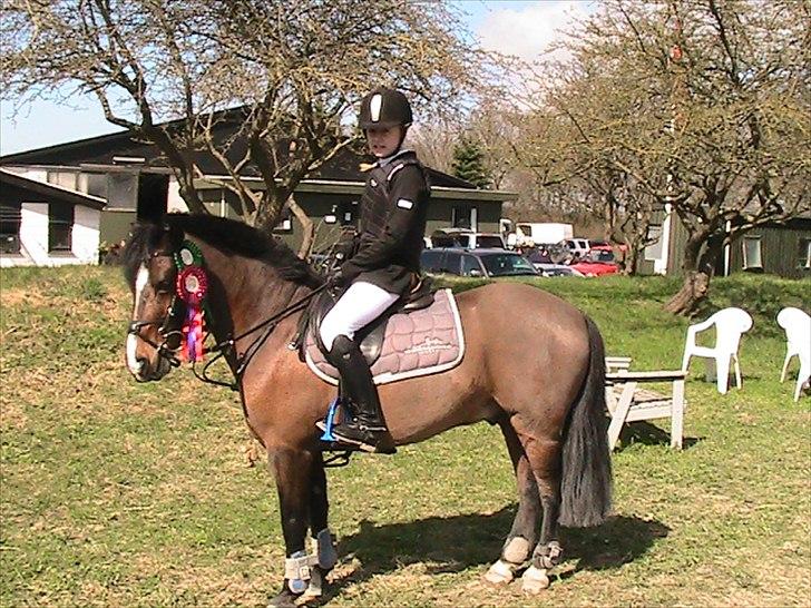 Anden særlig race Lauritz - sløjfespring på vestegnen billede 8