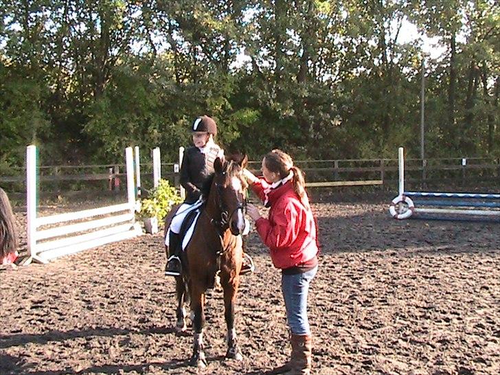 Anden særlig race Lauritz - primeovrerekkelse billede 9