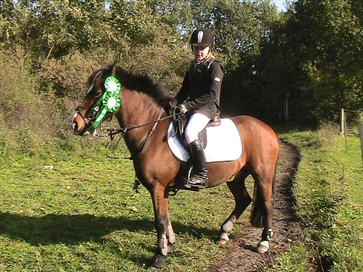 Anden særlig race Lauritz - 4plads  billede 10