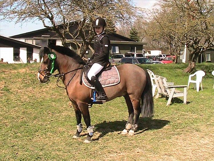 Anden særlig race Lauritz - vestegns klubmesterskab nr 4 ud af 22 billede 11