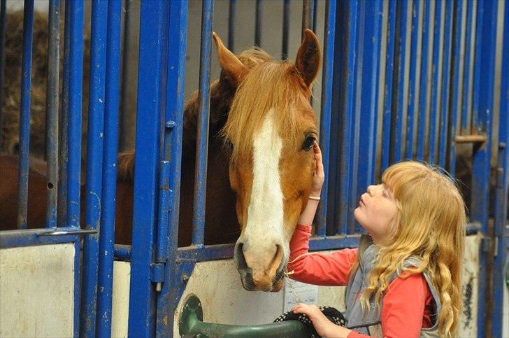 New Forest EgHolms Malou <3<3 - elsker dig billede 7