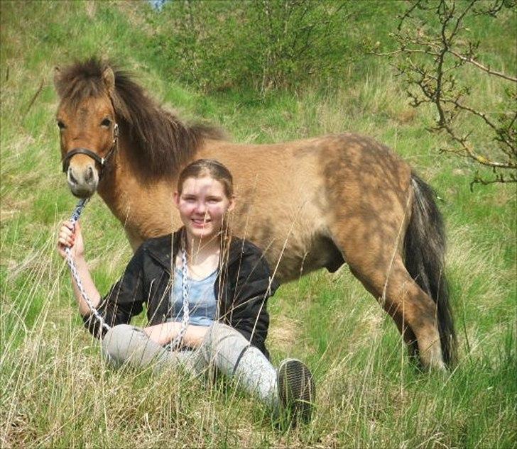 Miniature Mini Bandit - Er han ikke sød? ;) <3 billede 18