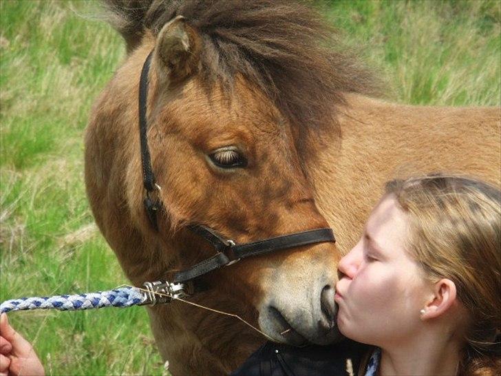 Miniature Mini Bandit - Møøøøøøøøs ;* billede 19