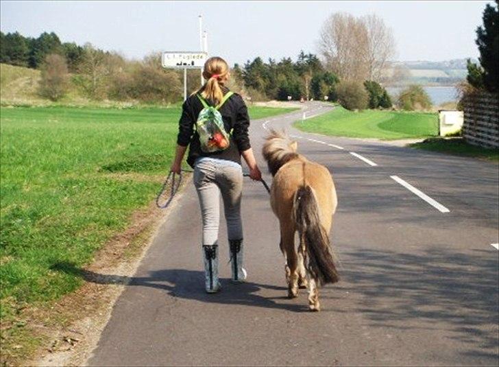 Miniature Mini Bandit - Nu går vi ud af landevejen, med æbler på ryggen ;) billede 20