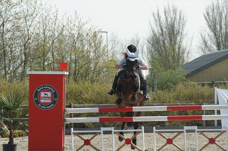 Hollandsk Sportspony Roxy (R.I.P) - første Mb:D min mester fotograf Anne!!:D billede 18