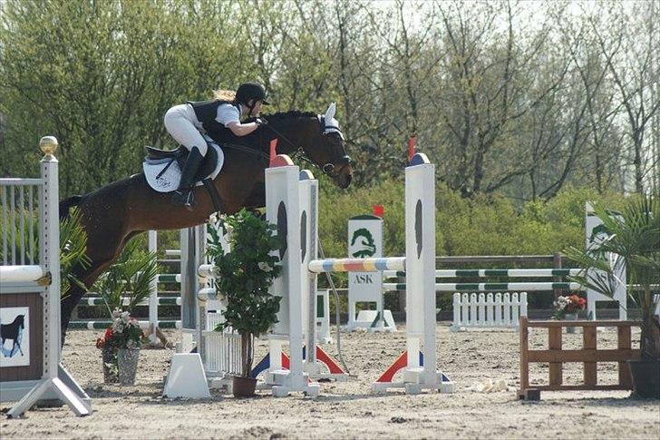 Hollandsk Sportspony Roxy (R.I.P) - Flyver :D<3 billede 19