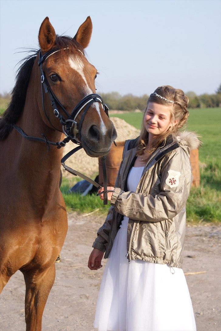 Welsh Partbred (Sec F) De Wijk's Aislin B PONY - Konfirmation april 2011 :-)) 
 billede 22