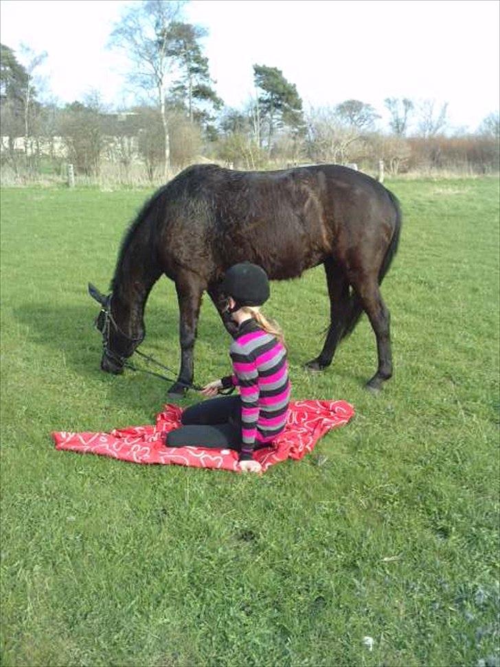 Anden særlig race Dibsi  - mig og Dibsi på skovtur:)<3<3 billede 4