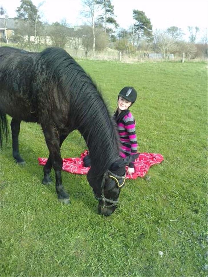 Anden særlig race Dibsi  - Hygge med Dibsen<3<3<3<3<33<3<33<<3<3<3<3:) billede 5