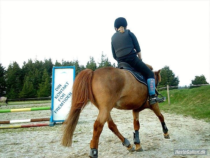 Anden særlig race Lukas - Opvarmning til spring..Foto: Astrid Emilie Bansmann! 
20/4 11 billede 8