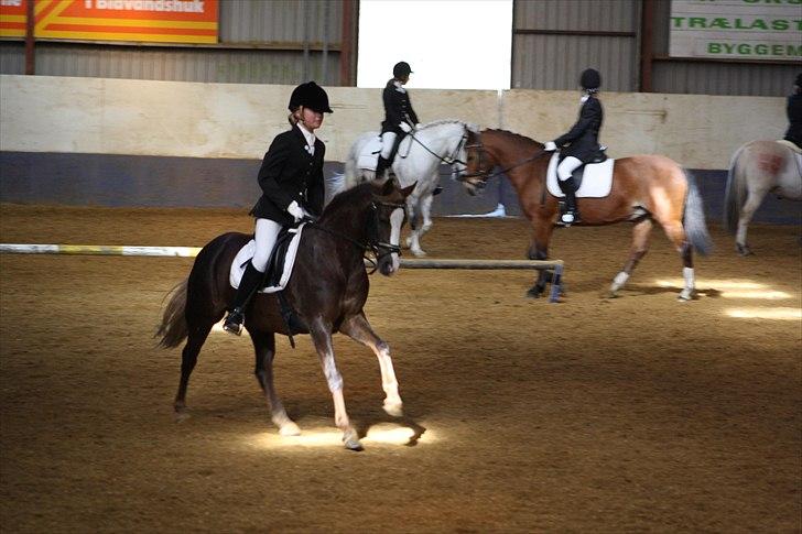 DSP Skovlyst´s Nikita <3 - Fri gallop<3 billede 5
