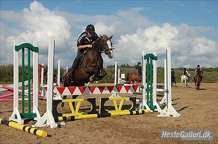 DSP Skovlyst´s Nikita <3 - Julie og kitty springtræning<3 billede 9