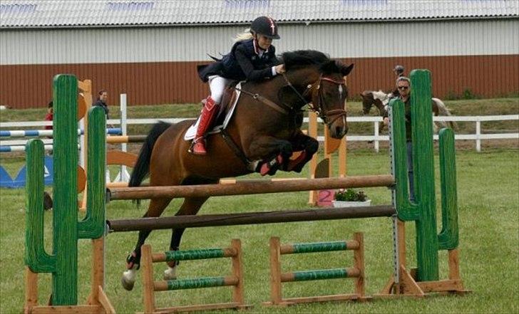 Anden særlig race Jussie - Med stephanie i MB i tobøl. billede 4
