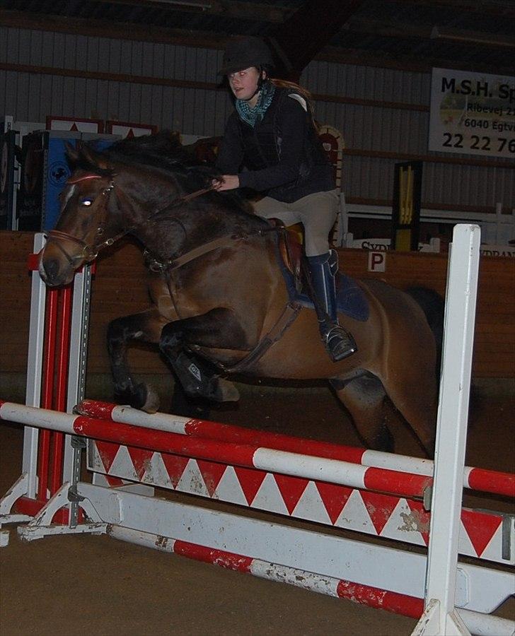 Anden særlig race Jussie billede 5