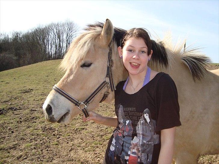 Fjordhest Lady.! "part" - hey med jer.!  billede 5