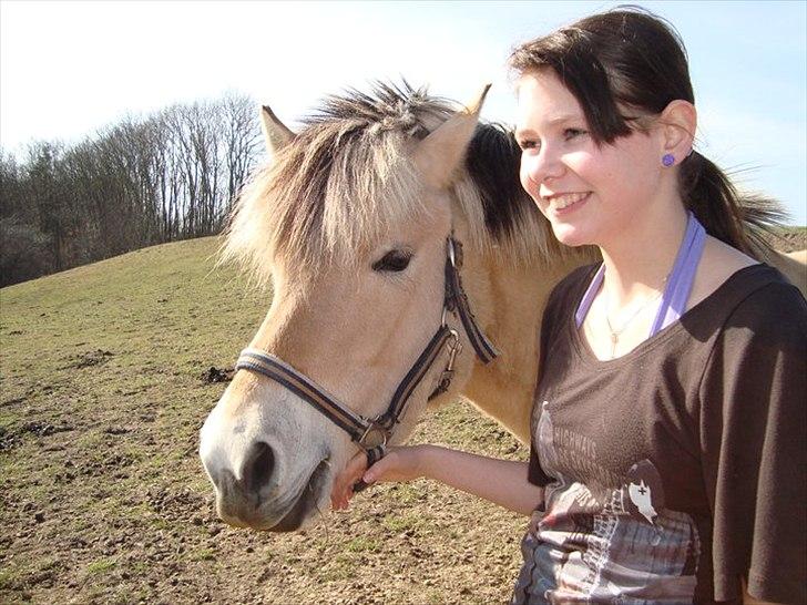 Fjordhest Lady.! "part" - os to 4-ever.! <33 billede 8