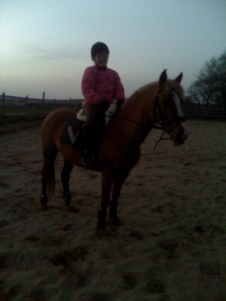 DSP sunshine (part) - trine og sunshine  billede 3