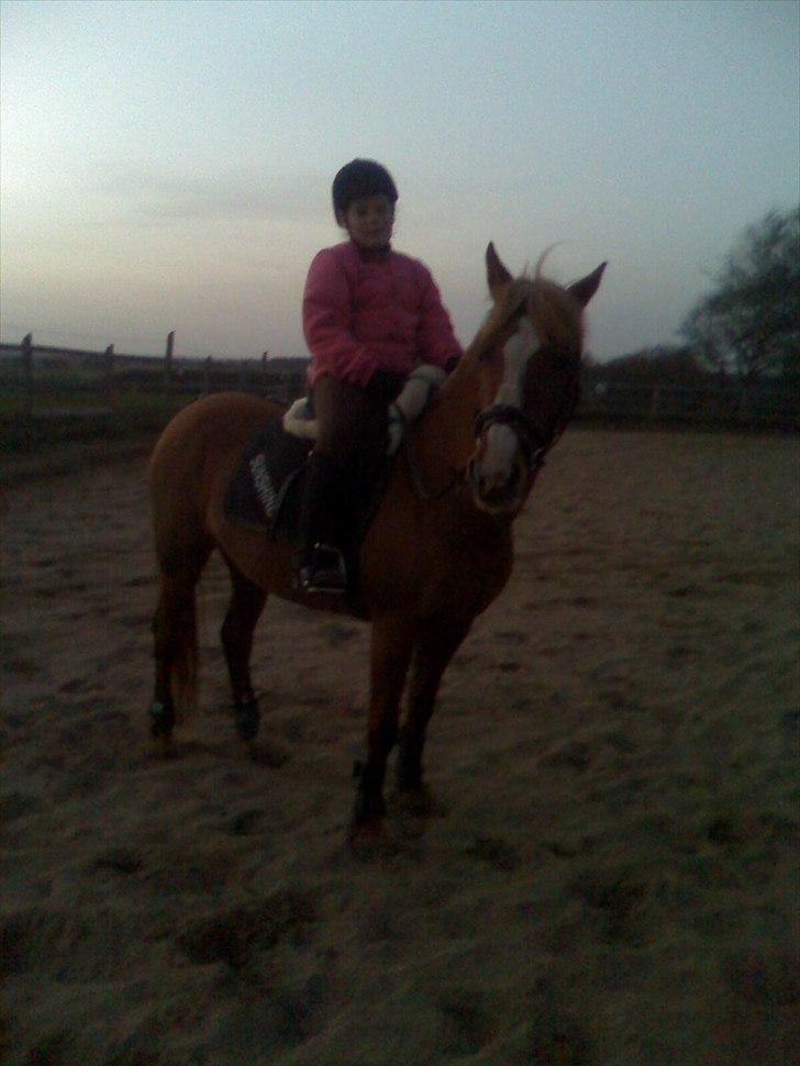 DSP sunshine (part) - trine og sunshine  billede 18