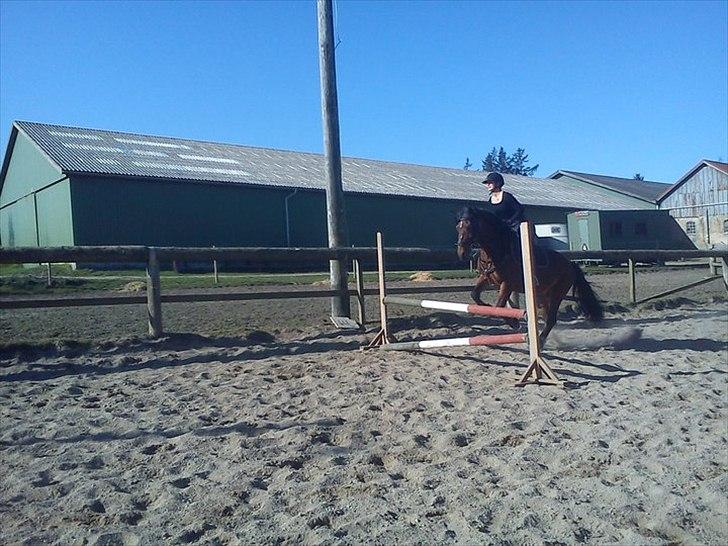Anden særlig race lotte - barrtôssen - hoooop :) billede 5