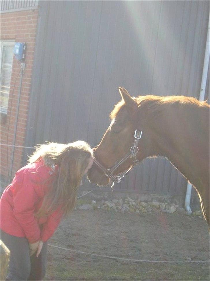 Anden særlig race Rinkenæs Chico - SOLGT billede 20