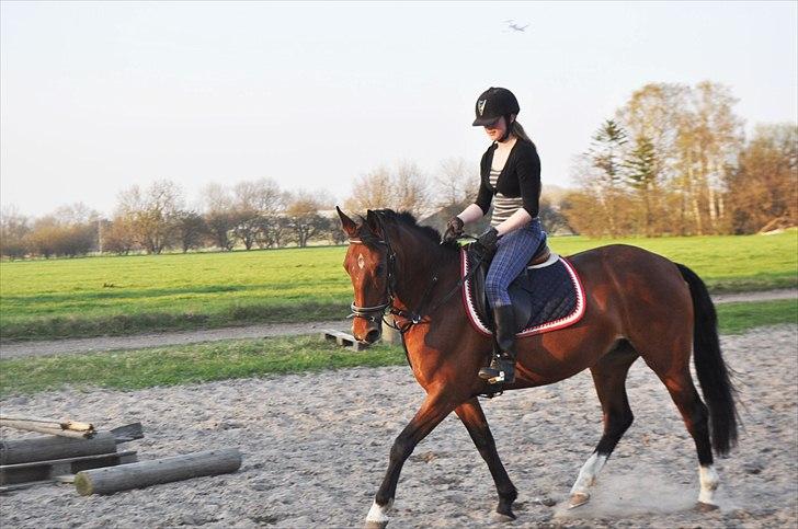 Anden særlig race Star - Hun var meget frisk hehe :D billede 1