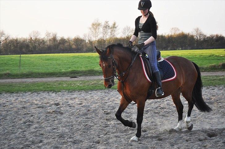 Anden særlig race Star - Hun er nu meget sød :P billede 4