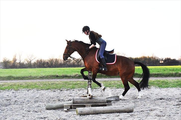 Anden særlig race Star - Det skulle da lige prøves :P billede 7