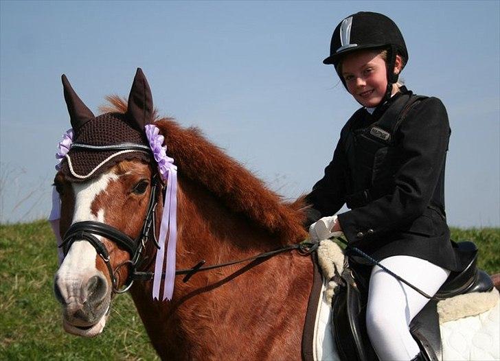 New Forest Thor - Min dygtige pony billede 9