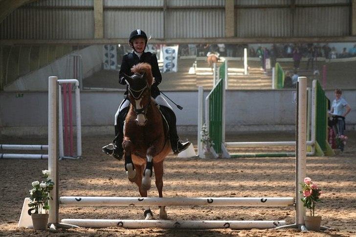 New Forest Thor - YES!!!! Vi klarede runden:-) billede 10
