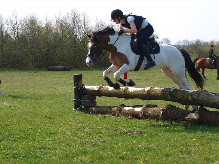 Anden særlig race Ebonys Surprise   (solgt/ R.I.P) billede 18