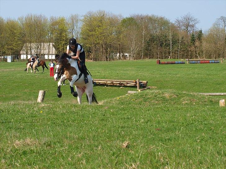 Anden særlig race Ebonys Surprise   (solgt/ R.I.P) billede 19