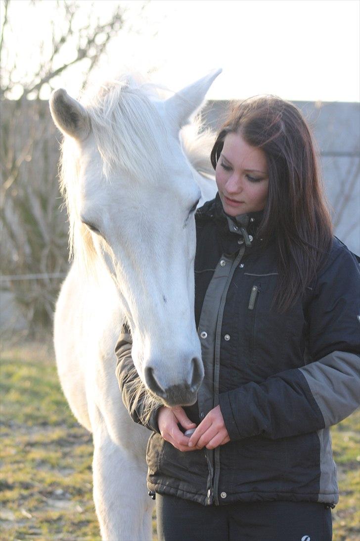 Anden særlig race smilla englehesten<3 R.I.P<3 - smukke smilla og min søster:* billede 14