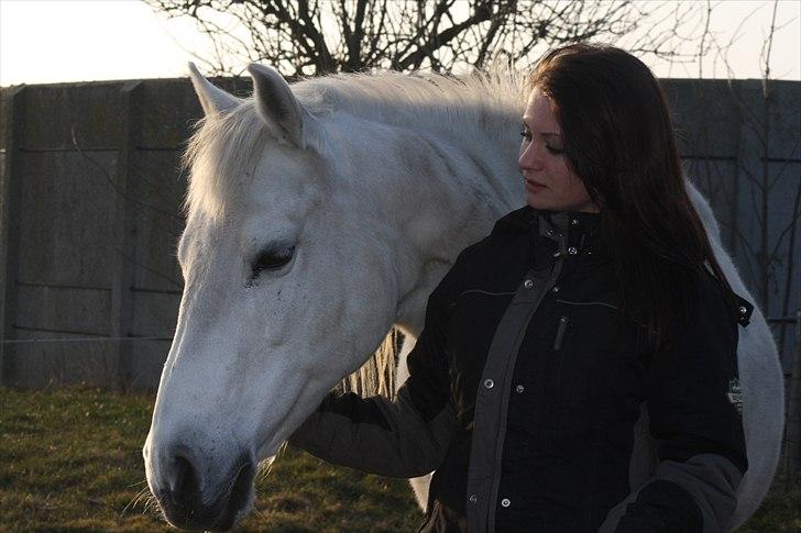 Anden særlig race smilla englehesten<3 R.I.P<3 - smukke smilla og min søster:* billede 15