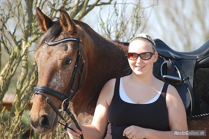 Knabstrupper Storlunds Zantino *SOLGT - slut. 2012* - Sommeren 2011 hvor jeg får Tino hjem  billede 4