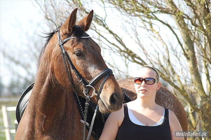 Knabstrupper Storlunds Zantino *SOLGT - slut. 2012* - Sommeren 2011 hvor jeg får Tino hjem  billede 7