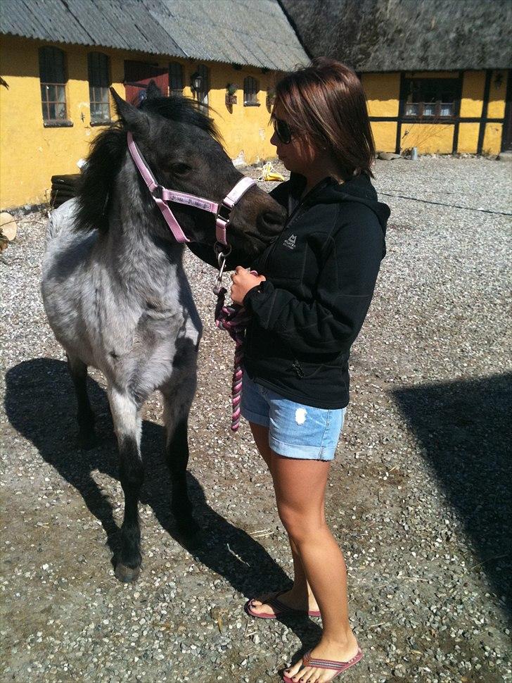 Welsh Mountain (sec A)  Cerét  - 11 » we´re perfectly imperfect, but I wouldn´t change a thing <3 billede 9