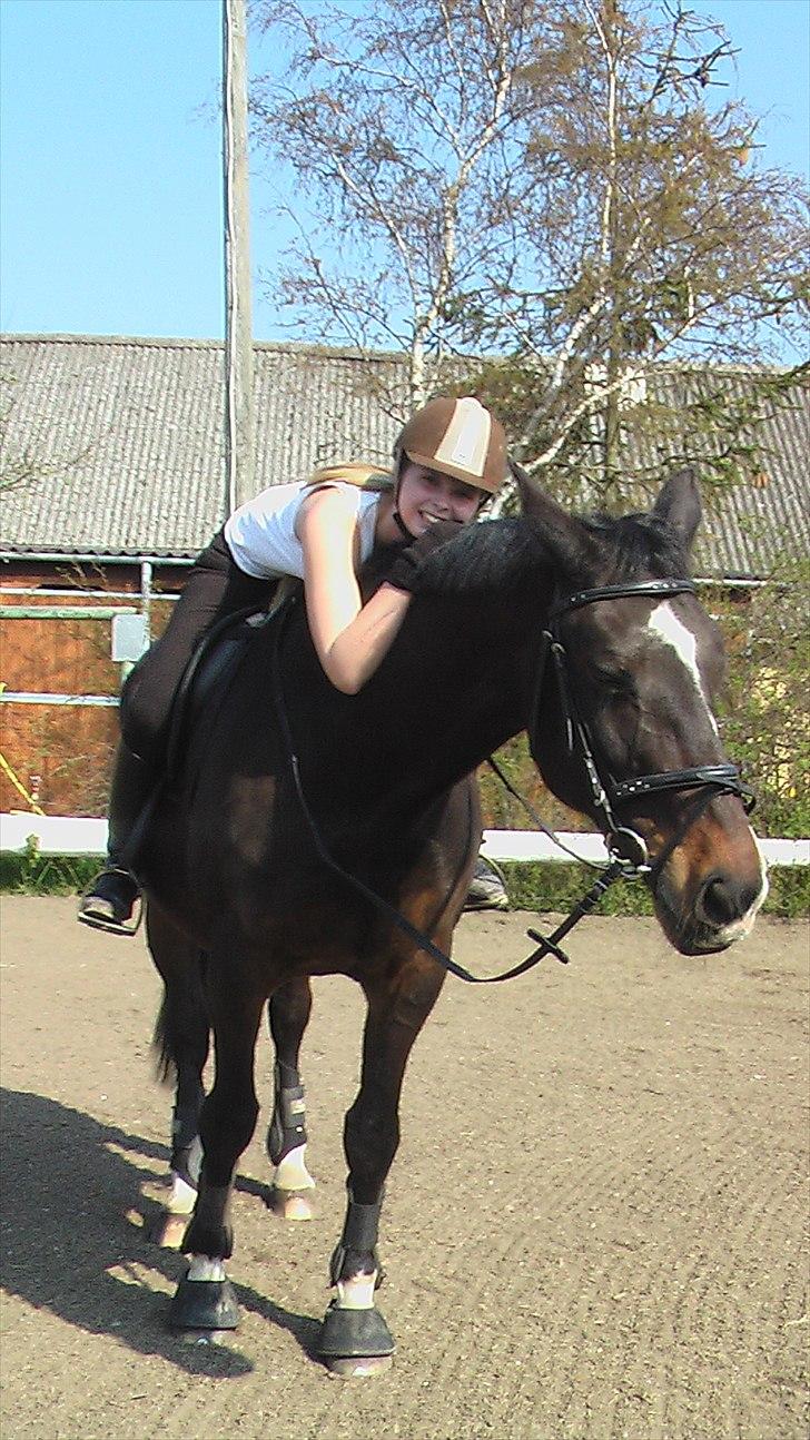 Dansk Varmblod Asmira - I love you <3 billede 4