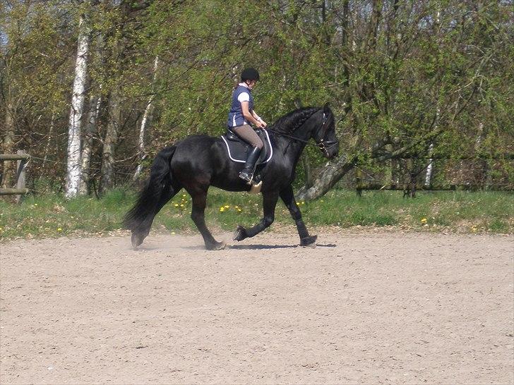 Frieser Durk T. billede 2