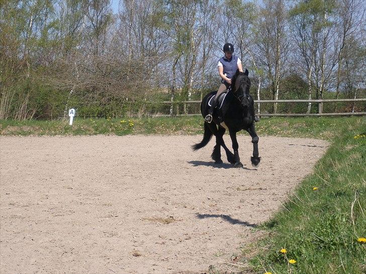 Frieser Durk T. billede 3