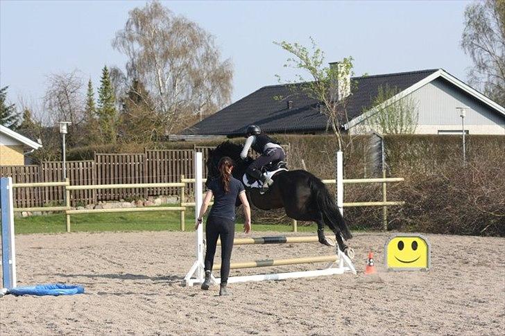 Welsh Cob (sec D) Avalons Monalisa - Hun er bare så seeej<3! Trænnings stævne:) Prutte rider monse<3 TAK! billede 12