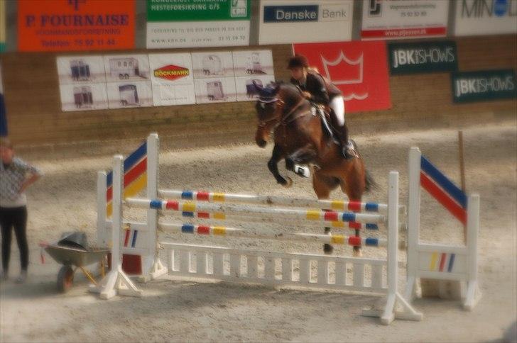 Holstener Bøgelunds Coconella 5 - Stævne fredericia 22.04.11 <3 Dobbeltnul og placeret, som nr. 4 billede 15
