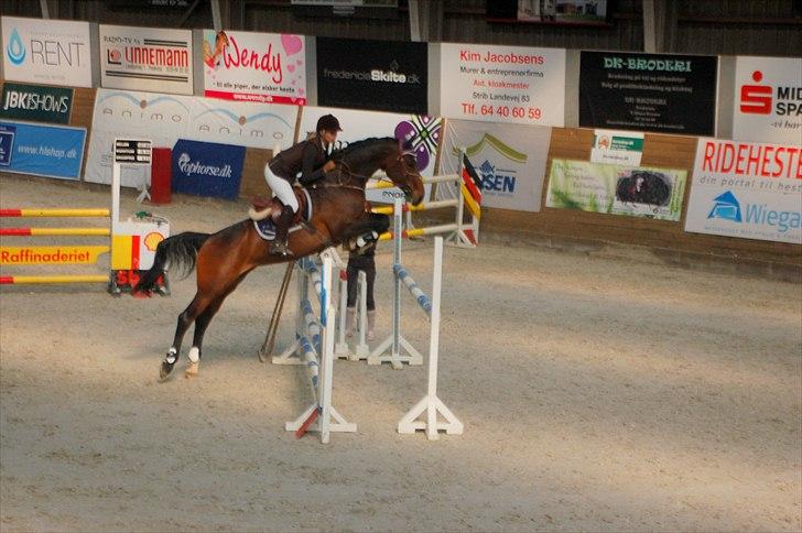 Holstener Bøgelunds Coconella 5 - Stævne fredericia 22.04.11 <3 Dobbeltnul og placeret, som nr. 4 billede 16