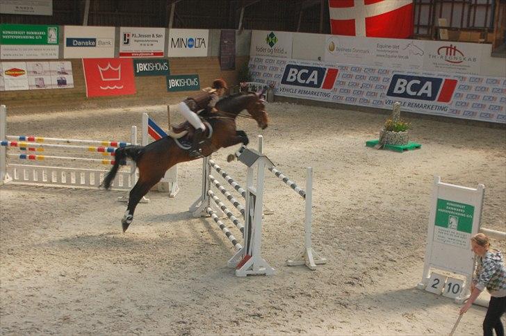 Holstener Bøgelunds Coconella 5 - Stævne fredericia 22.04.11 <3 Dobbeltnul og placeret, som nr. 4 billede 17