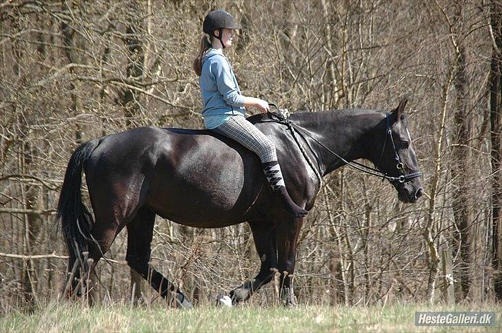 Oldenborg Larissha - - taget af Freia jensen! billede 11