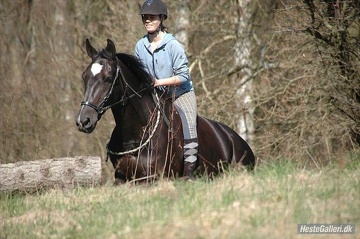 Oldenborg Larissha - Jeg kan squ ikke andet end at smile når jeg ser det billede! (; - taget af Freia jensen! billede 12